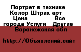 Портрет в технике “Колор-Штрих-арт“ › Цена ­ 250-350 - Все города Услуги » Другие   . Воронежская обл.